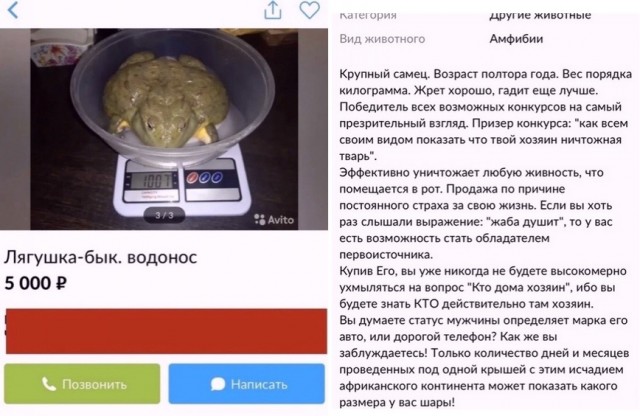 Картинки и мемы для настроения 19.08.2021