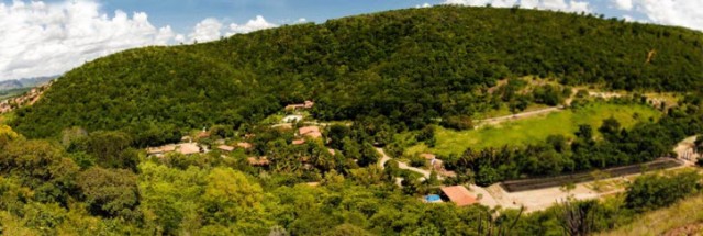 Муж и жена высадили 2,5 млн деревьев на месте бывшей вырубки и открыли частный заповедник