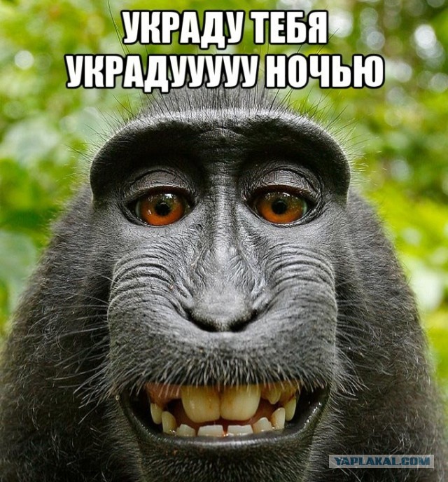 Гоба – самый большой метеорит, который упал на Землю