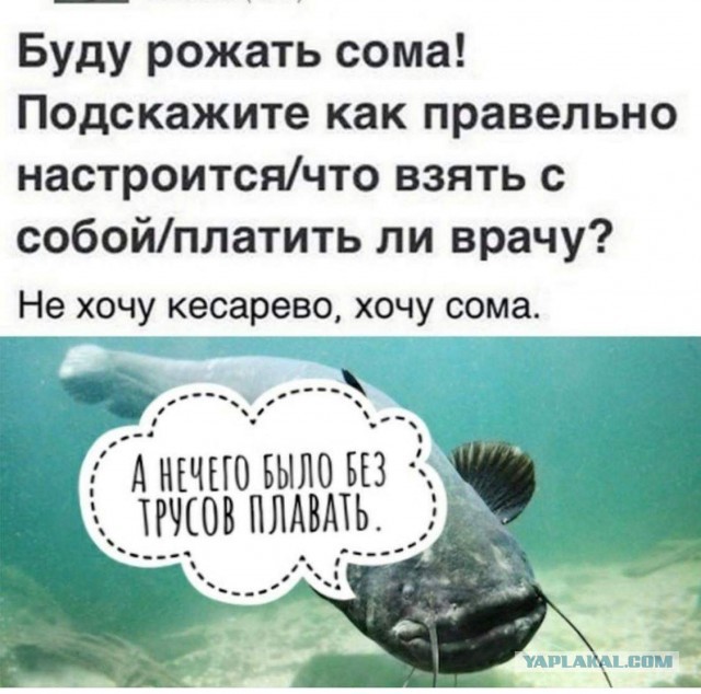 «Народ у нас оскотинился». Под Петербургом мама-депутат ищет, кто слил видео с её ребёнком за рулем 