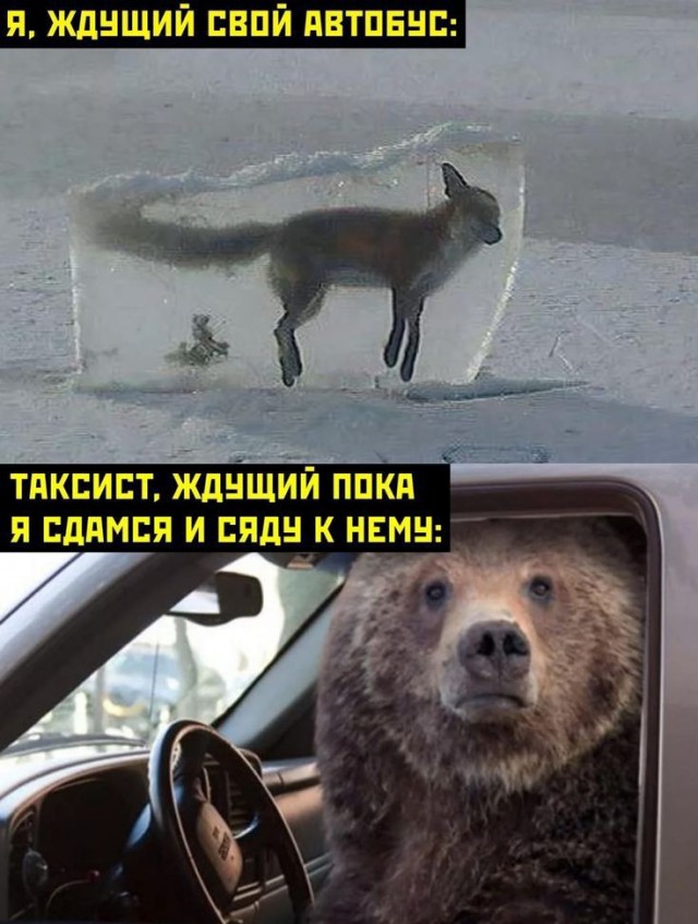 Картинки. 12.03.22