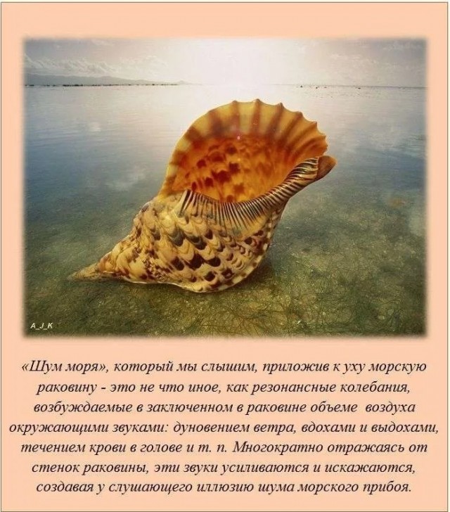 70 удивительных фактов