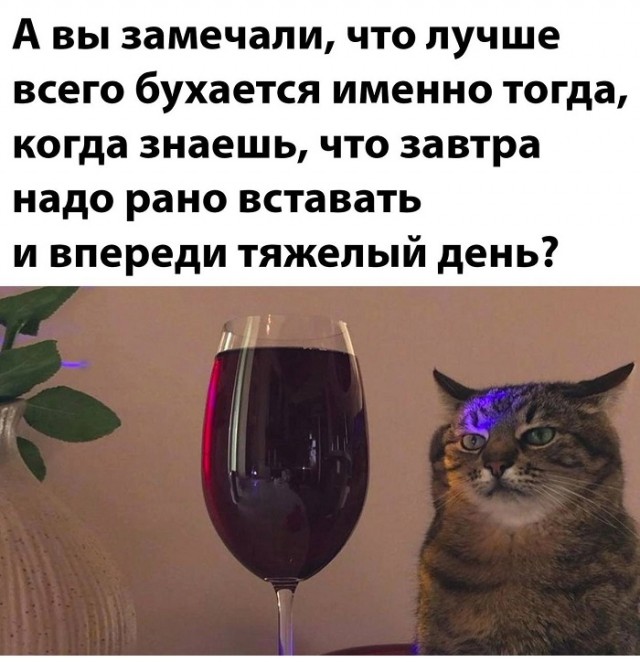 Картинки с надписями и всякие жизненные фразы