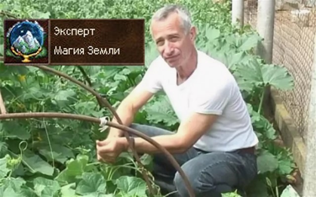 Ай нид хелп