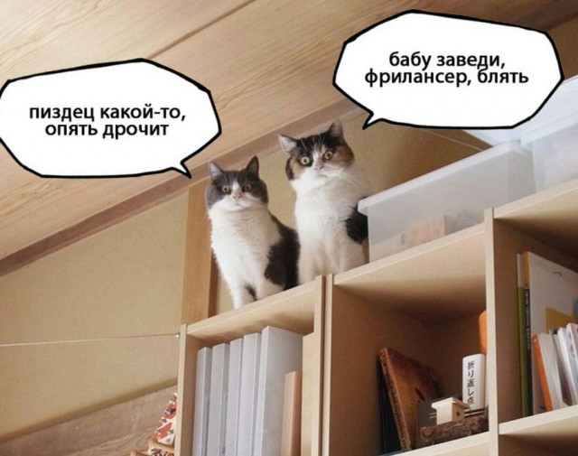 Картинки с надписями 4.08.22