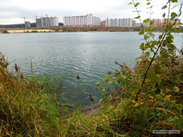 Генералы песчаного карьера