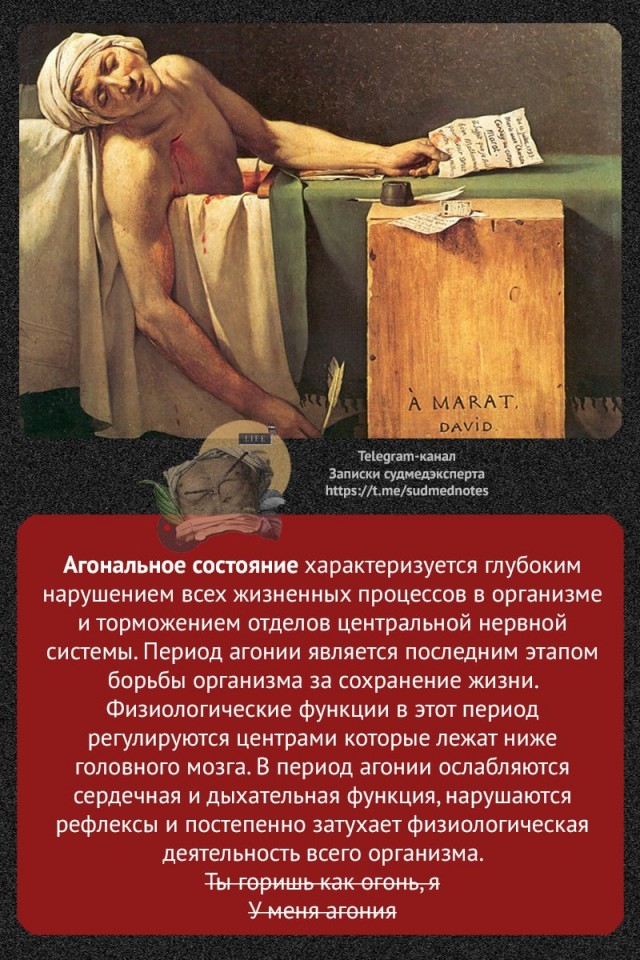 О терминальных состояниях организма