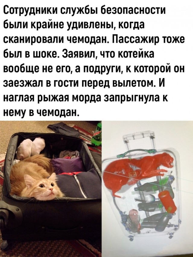Так себе картинки 07.12.22