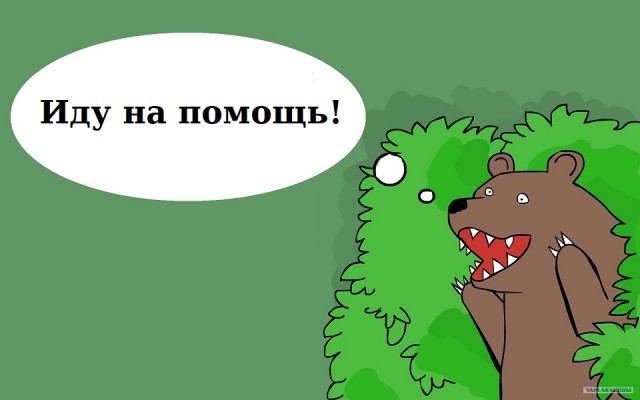 Медведица