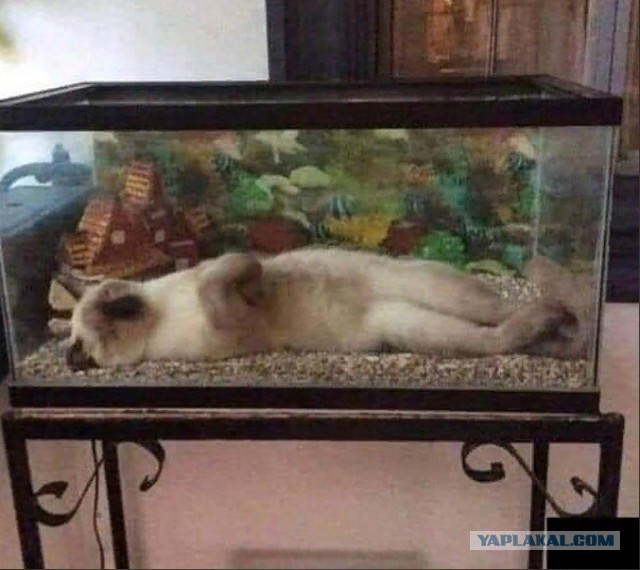 Подлая у тебя душонка, Наташа...