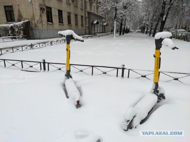 И у нас весна!