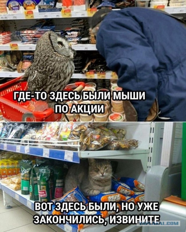 Нуштош 14.04.2023
