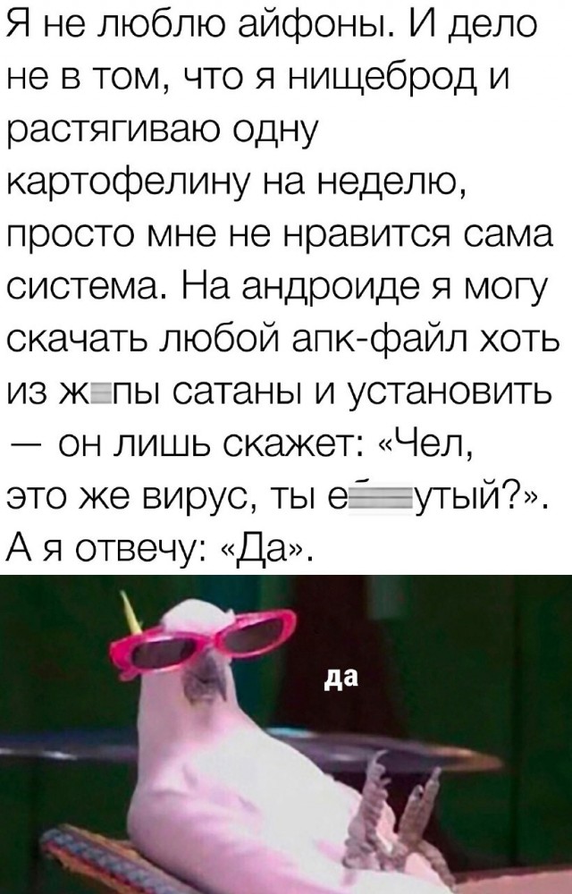 Забавные комментарии из социальных сетей (30.10.23)