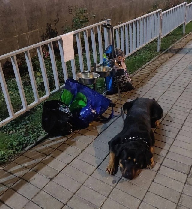 У Братиславской неизвестные оставили пса, корм и записку.