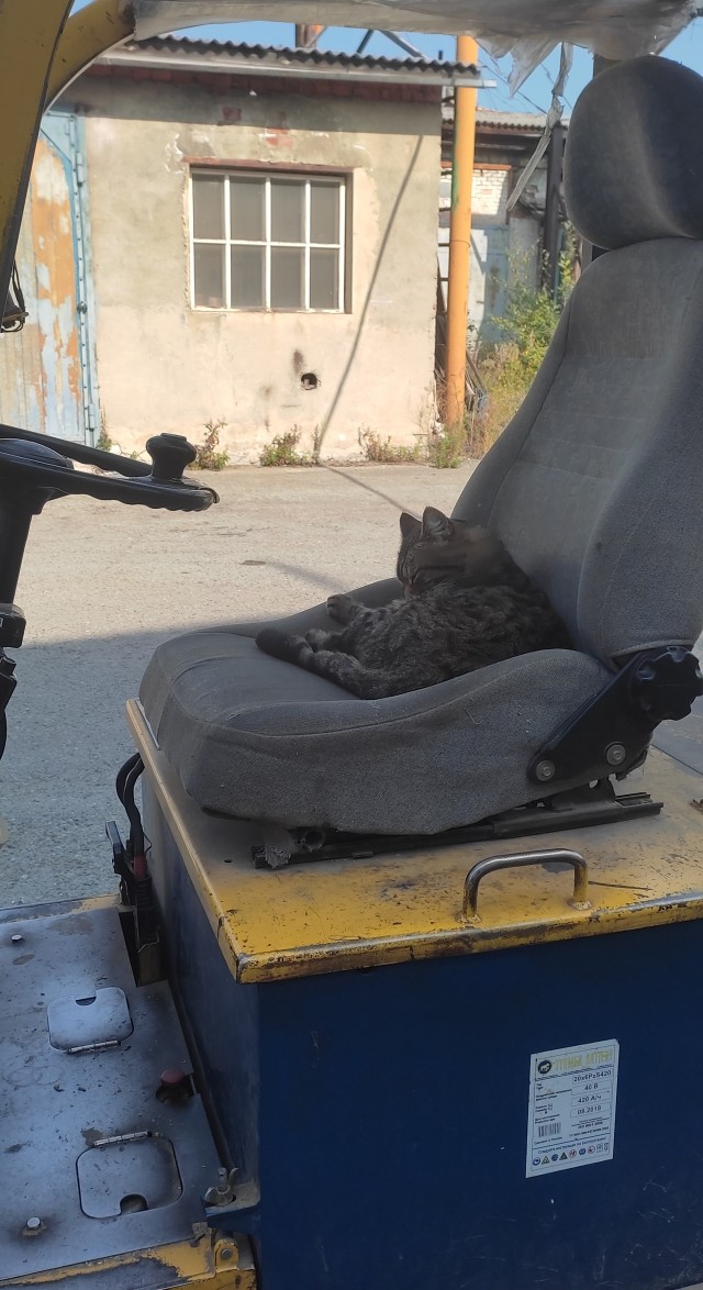 Самые лучшие помощники