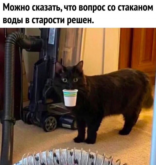 Забавные картинки, шутки из этих ваших интернетов