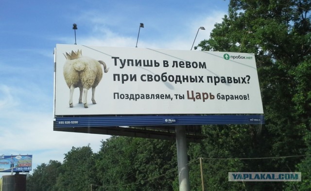 Ну че ты жмешься?⁠⁠