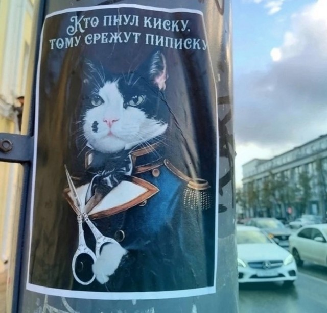 Проводница разлучила хозяина с котом