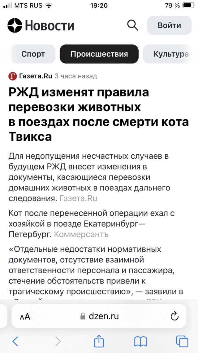 Проводница разлучила хозяина с котом