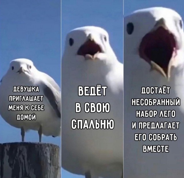 Всего понемногу. От 24.01.24