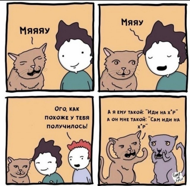 "Не, ну ты это видел, ты видел?"
