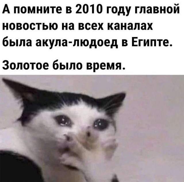Король новозеландского коренного народа маори призвал признать китов личностями и дать им те же законные права, что и людям