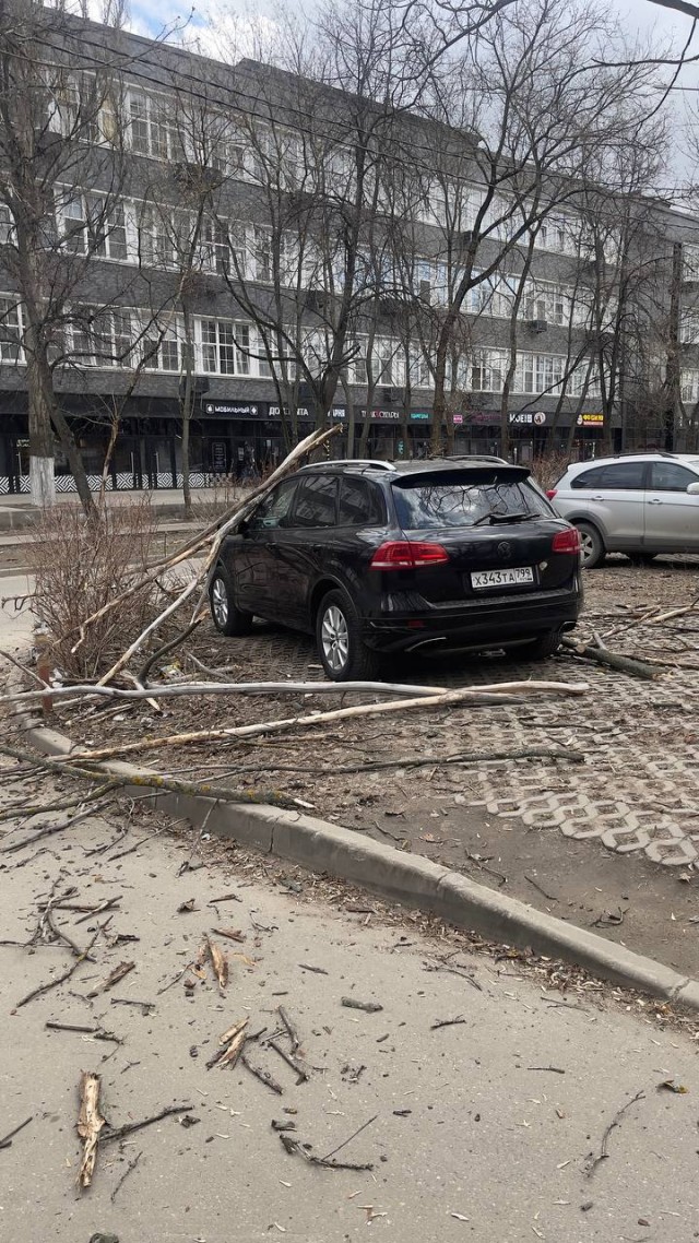 Жителям Москвы порекомендовали меньше находиться на улице – МЧС выпустило экстренное предупреждение об усилении ветра до 21 м/с