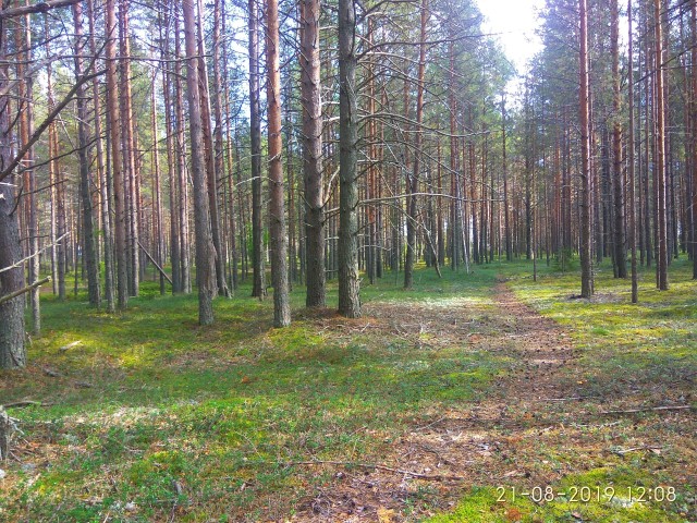 Фоточку сделал сейчас