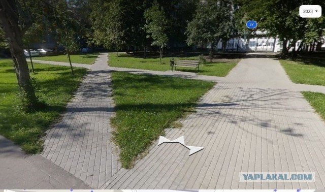 "А бордюры не простые. Всё скорлупки золотые"