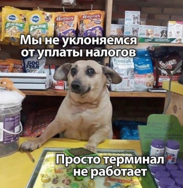 Веселые картинки к пятнице (20.09)