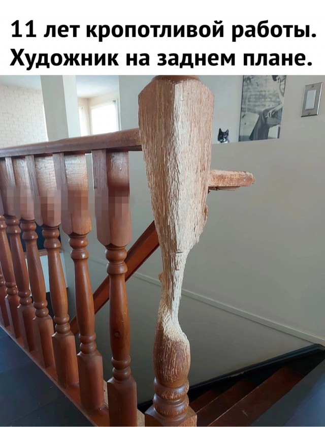 Так себе картинки 06.10.24