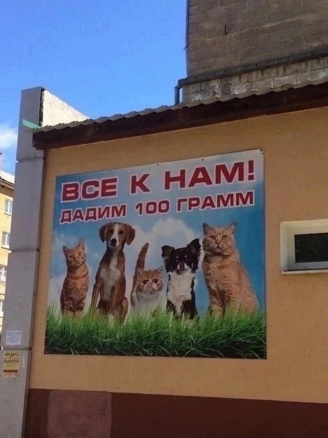 Нуштош 25.10.2024