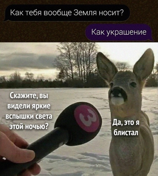 Весёлый полтишок 06.12.24
