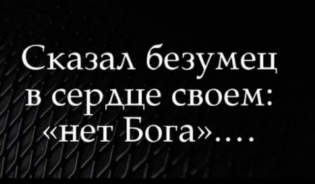 Весёлый полтишок 25.12.24