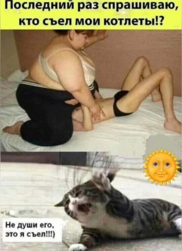 Так себе картинки 02.02.25