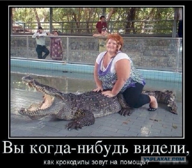 Картинки не для всех