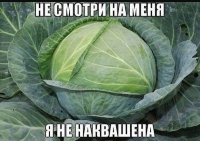 Жалуются на бояны местные.