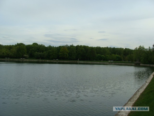 Кусково 15.05.2025