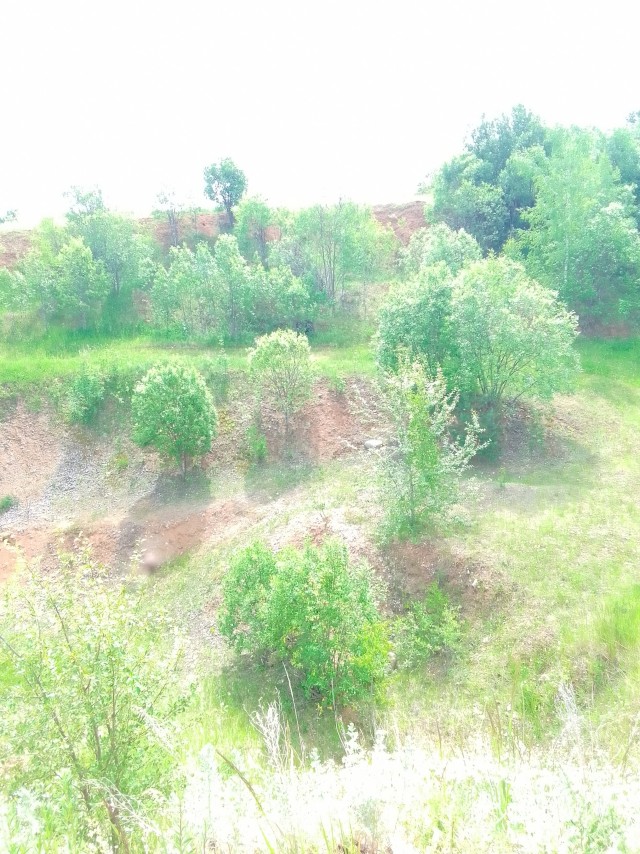 Грибной поход . День второй