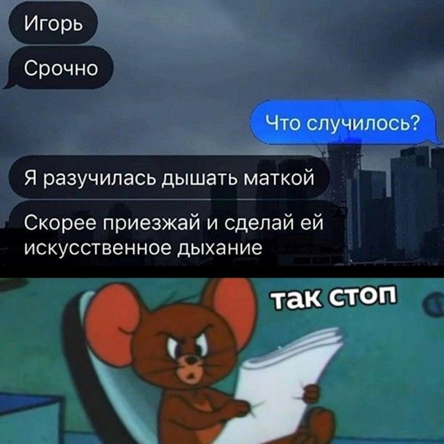 Весёлый полтишок 19.08.25
