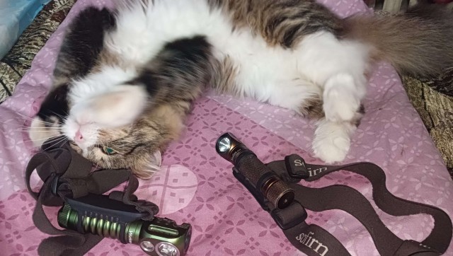 Клуб говорунов (литературный)