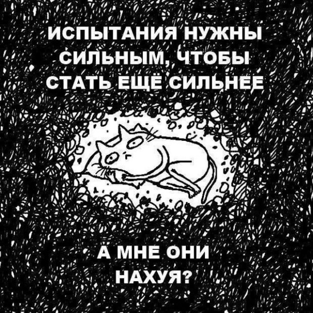 Картинки для деградации 61 (разной степени свежести)