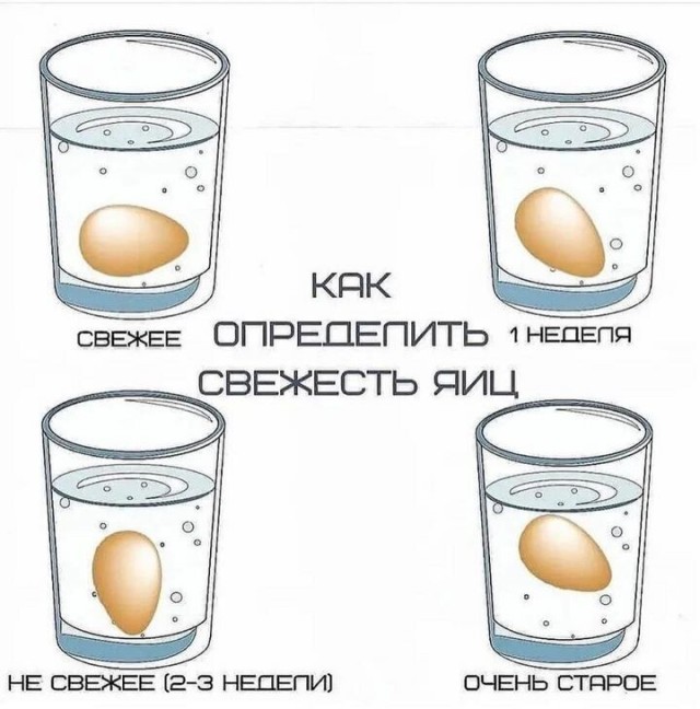 Веселое настроение в картинках (20.11.2025)