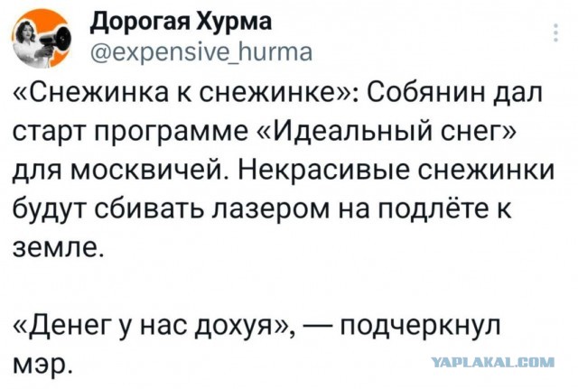 Берите метлу вместо мигрантов