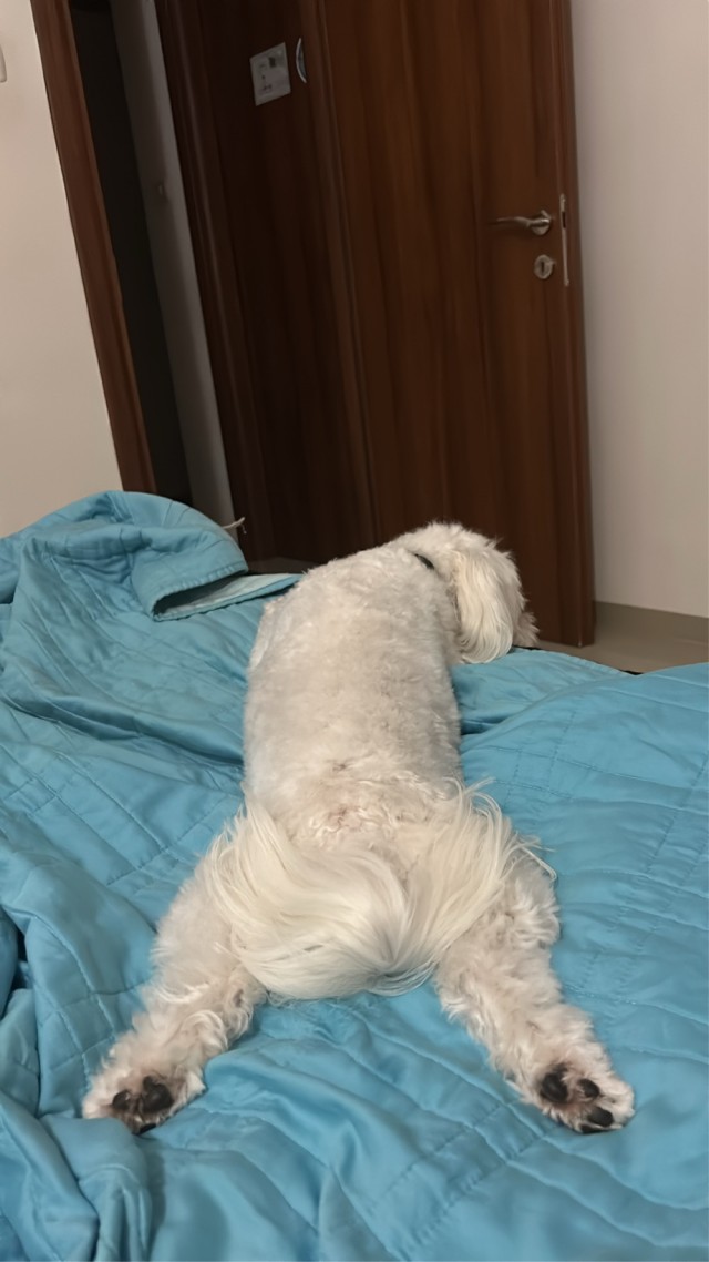 Копытные, с вами так же будет