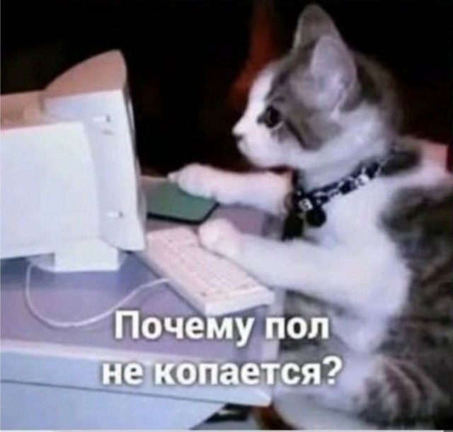 Картинки для деградации 133 (разной степени свежести)