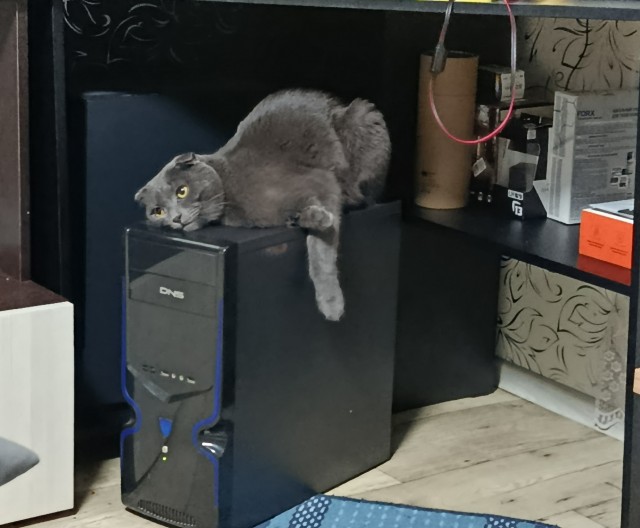 Беспредел