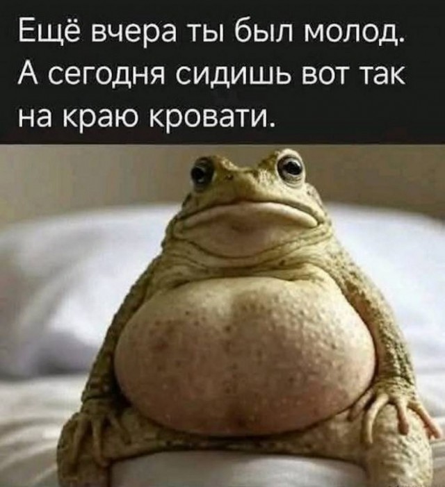 Субботние картинки