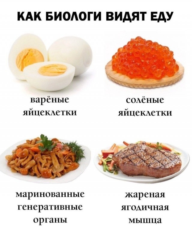 Картинки