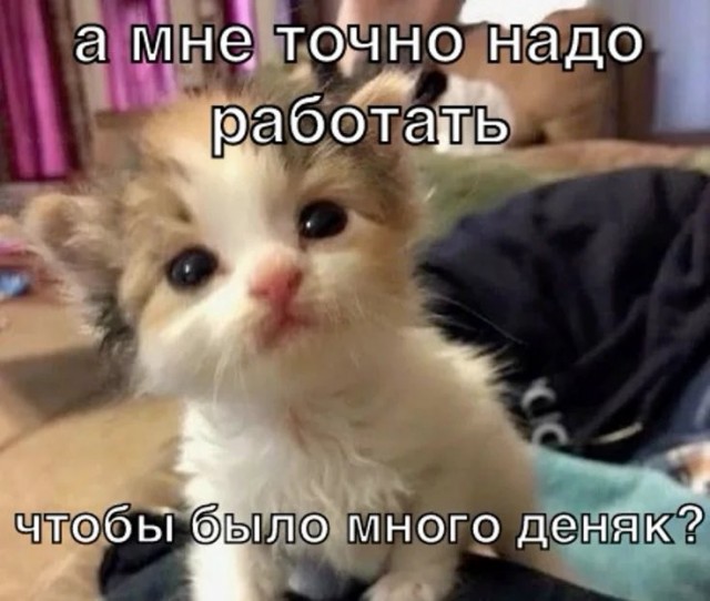 Мемчики